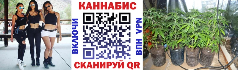Купить где  Нарьян-Мар  МАРИХУАНА индика 